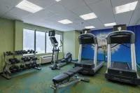 SpringHill Suites St. Petersburg Clearwater Hotel a Feather Sound