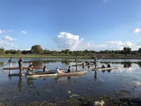 Khwai Mokoro Safaris and Campsites Hotels in Ngamiland North