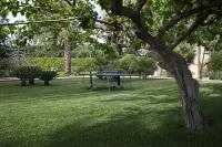 بي آند بي فيلاسيتا