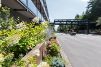 The Lynx Mountain Resort Hotels in 