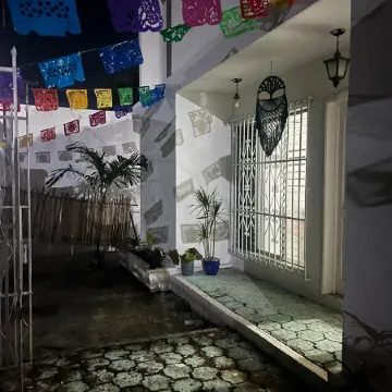 Treebu Hostel
