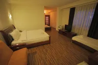 Hotel Denis Hotels in Pristina