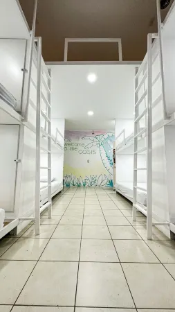 SJO Oasis Hostel