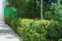 Pousada Clube Vista do Rio Hotel a 