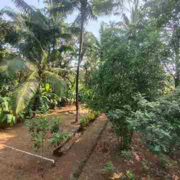 A Latent Farm Stay Hotel Exterior
