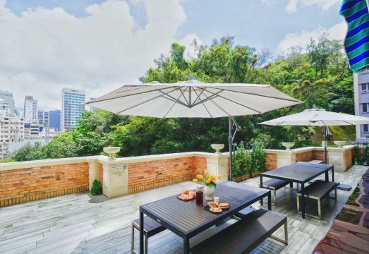 3. 더 셀베이션 아..