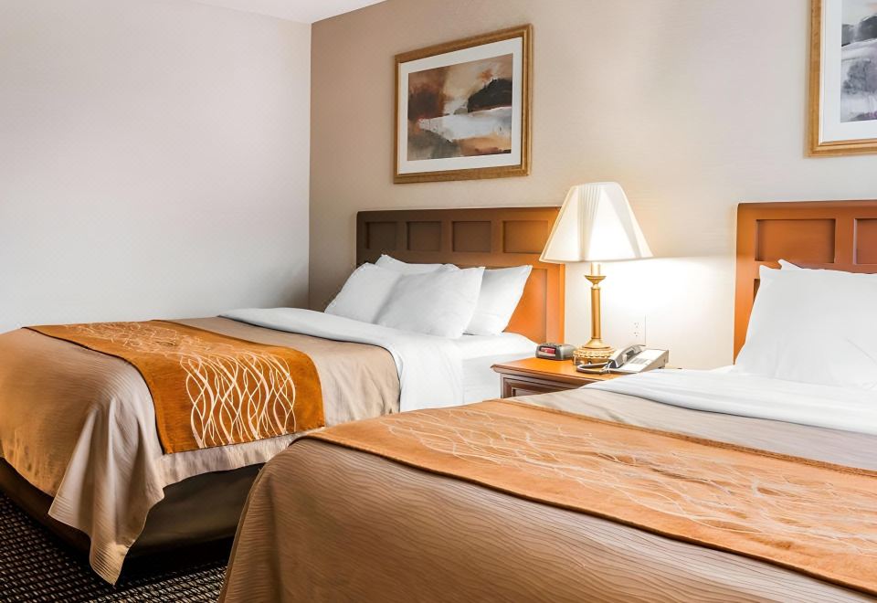 Comfort Inn