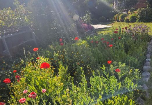 익산 영월당 한옥독채펜션