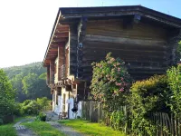 Quiet vacation apartment in a wooden house (on the edge of the forest)