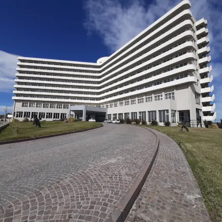 Rayentray Grand Hotel Отели в г. Вьедма