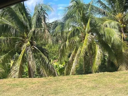 SUNNY, Mid island gem, 5 mins from the beach Отели рядом с достопримечательностью «Salt River Bay»