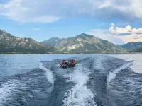 Buffalo Cabin -charming Alpine retreat w/ king bed Hotels in Alpine