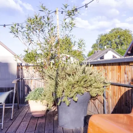 Stylish apartment with large terrace, air conditioning and parking space Отели в г. Дайдесхайм