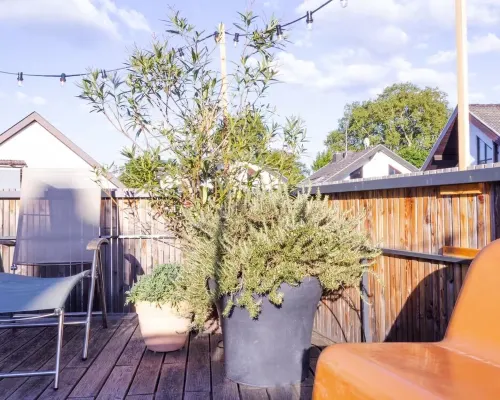 Stylish apartment with large terrace, air conditioning and parking space Hotels in Deidesheim