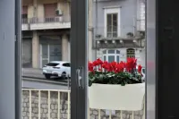 The Little White House (cozy little single house in the center)