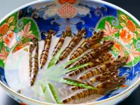 Nagisakan Kimura Karatsu Chaya
