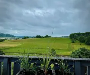 BioLoft by the lake and distant views.  Cozy vacation apartment on the top floor