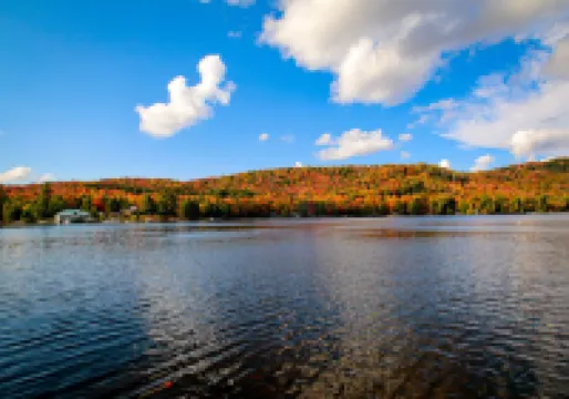 Charming Lakeside Cabin on Big Moose Lake with Breathtaking Views for a Memorable Getaway in New Yor