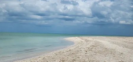 Ocean Front, Accessible, 3-bdrm Home! Отели в г. Селестун