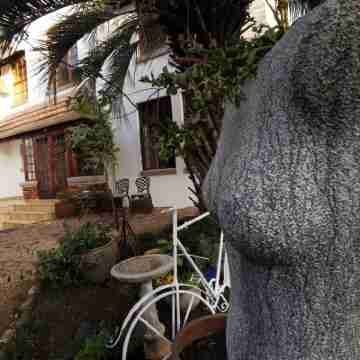 Adorable and Cozy Cottage in the Heart of Pretoria Hotel Exterior