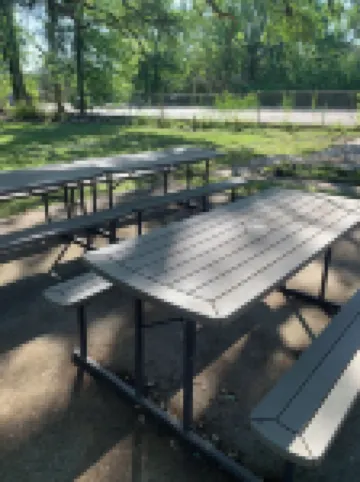 Spacious 5-bedroom house steps from Festival with large yard, AC In Downtown