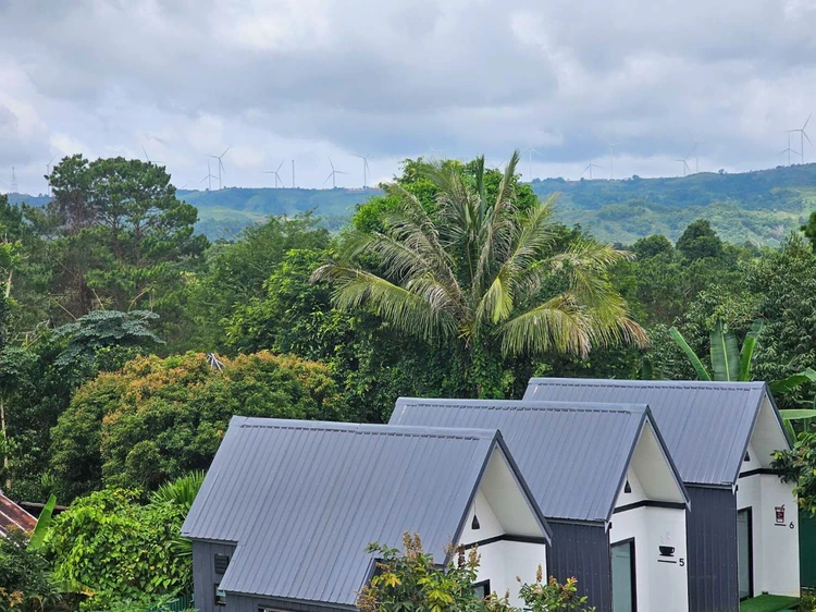 รูปภาพของนอน นี่ นะ เขาค้อ