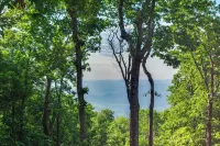 Serene Hideaway with Views, 1 Mi to Hike and Ski! - 3-Star