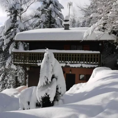 Chalet in La Bresse with Mountain Views