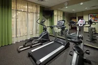 Holiday Inn MOBILE - AIRPORT by IHG - Gym
