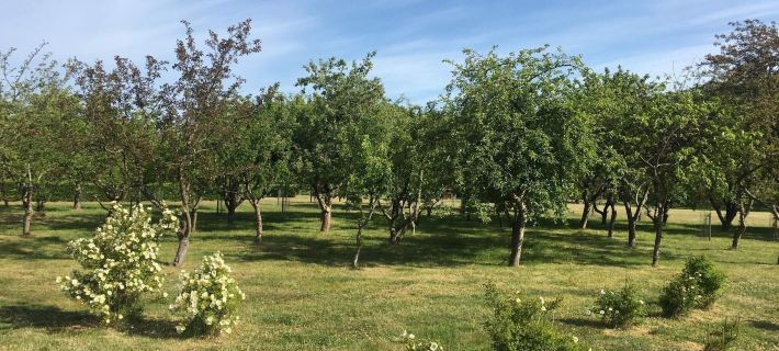 8 Person Holiday Home in Saeby Hoteles en Sæby