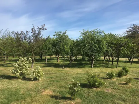 8 Person Holiday Home in Saeby-by Traum Hotels near Snedkergaarden iscafe