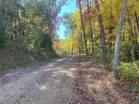 Spacious 5-king bedroom cabin with private bathrooms minutes from Asheville.