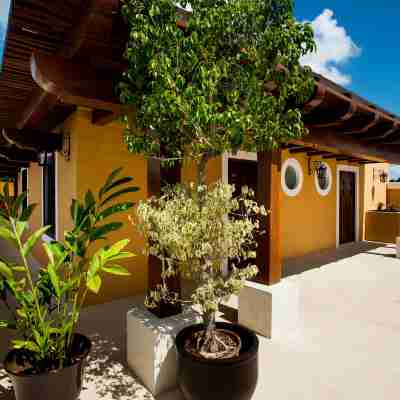 Boutique by the Museo Hotel Exterior