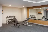 Four Points by Sheraton Newark Airport - Gym
