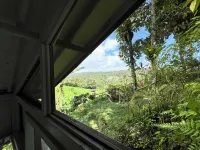 Frame Cabin with Endless Rice Field View
