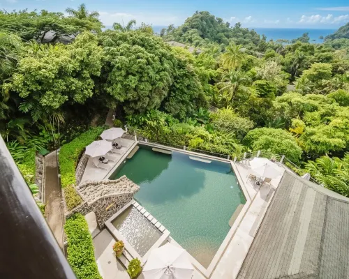 Luxurious, Modern Suite in the Rainforest with Ocean Views and 3 Resort Pools Hotels near Playa Biesanz