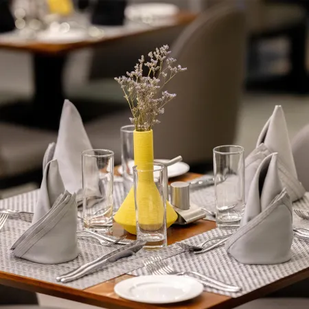 Alisa Hotel Tema