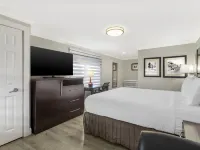 Best Western Bayfront Hotels in St. Augustine