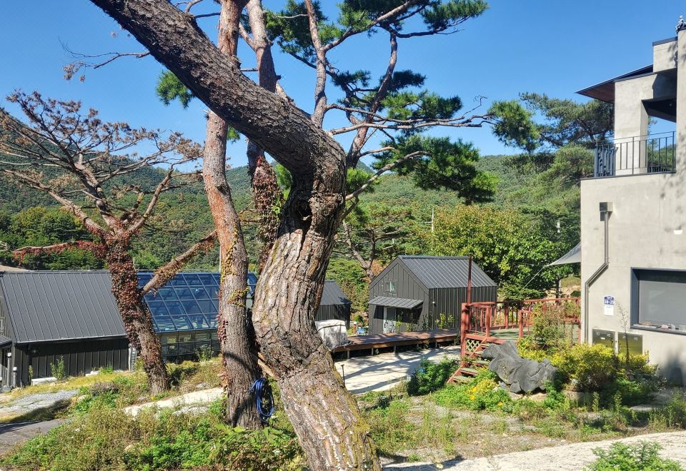 단양 숙소 분석 이미지