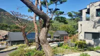 Danyang Gallery House Pension - Homestays