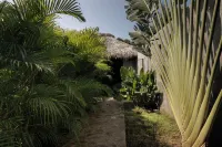Hotel Boutique Pikiliki