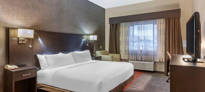 Comfort Suites Boise West Meridian エイダのホテル