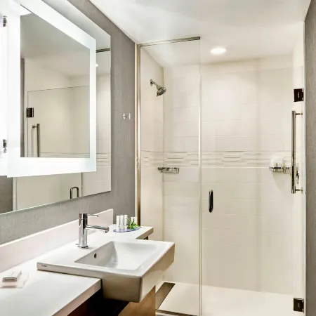 Springhill Suites by Marriott Coppell DFW Airport North
