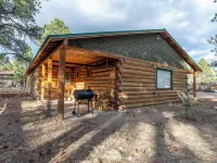Spacious Family Friendly Cozy Cabin Hotels in South Fork