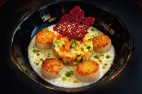 Logis Hôtel - Restaurant le Tulipier - ที่มีสระว่ายน้ำ