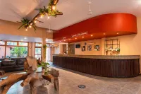 Marcopolo Suites Iguazu - bar