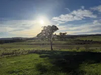 The Paddock Cabin - Your Ultimate Countryside Escape - 3-Star