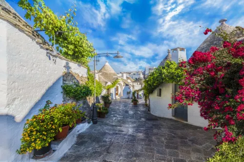 Bianca Olive House - Alberobello - Condos