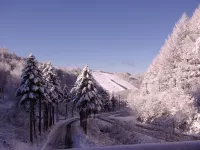 Lodge Avoriaz Hotels in Suzaka