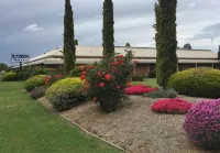 Glider City Motel Benalla - 3 étoiles